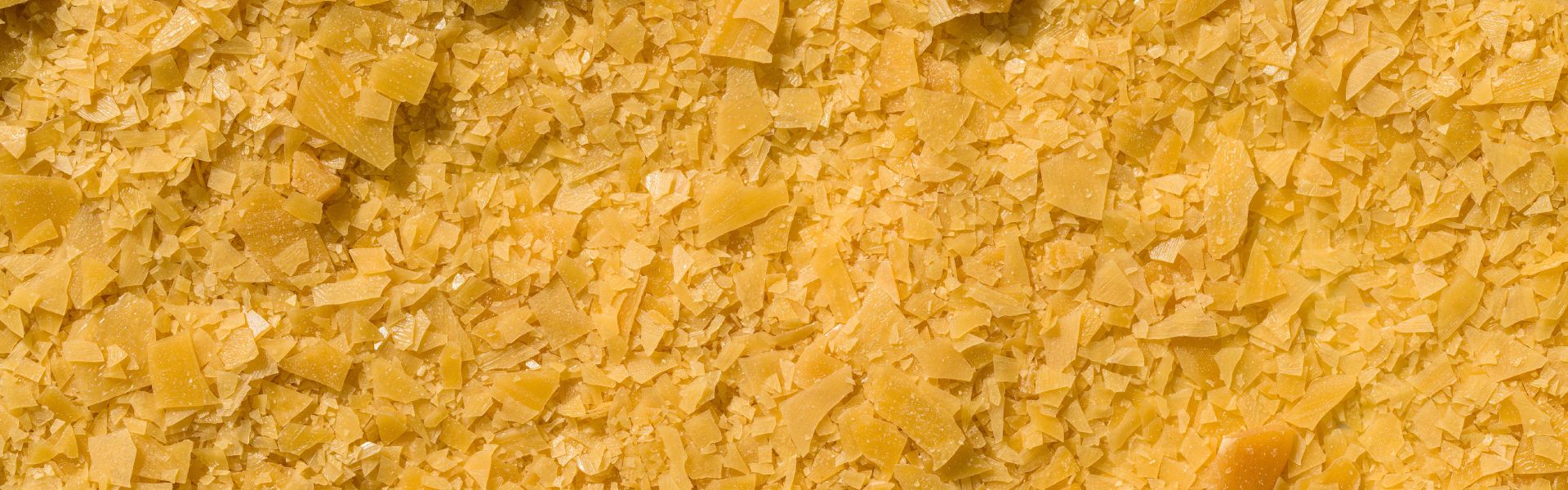 Is Carnauba Wax Vegan Friendly?